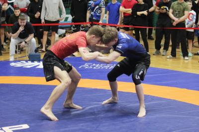 В Рязани соревновались борцы более двух десятков регионов